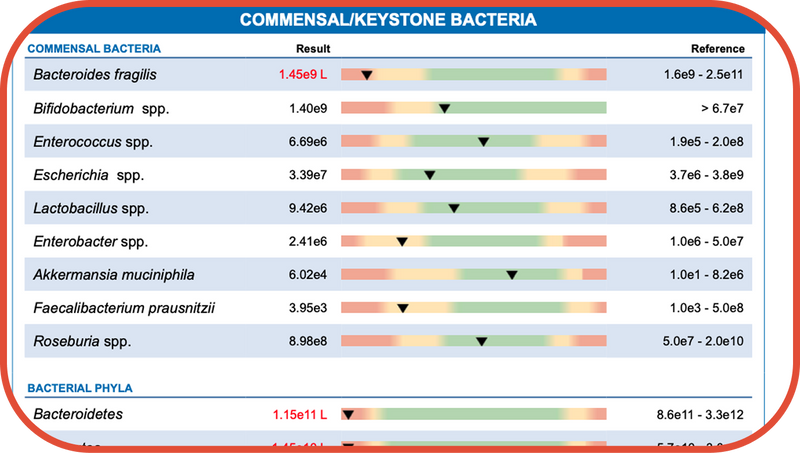 The Gut Clarity Test