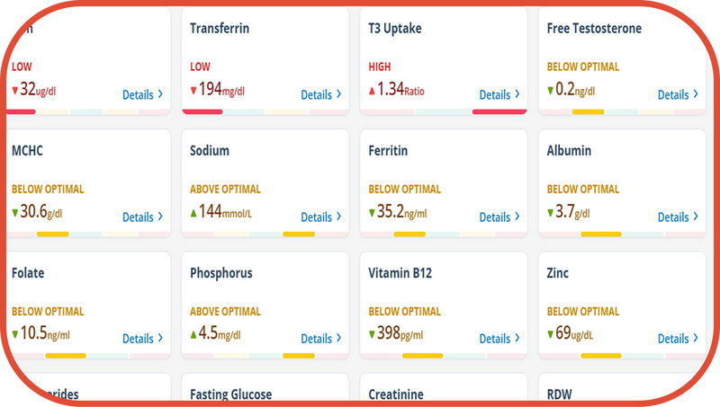 Find Your Flow State Blood Test